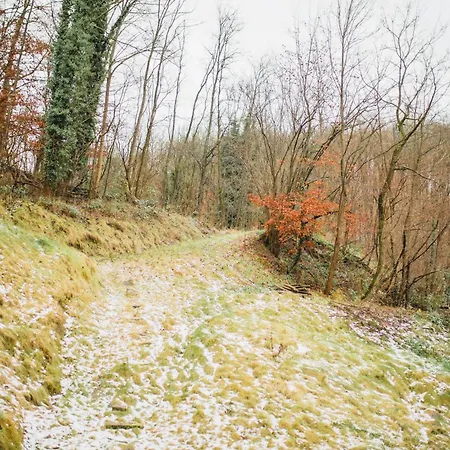 Hugos Design Am Waldrand - Ruhig & Modern Apartmán