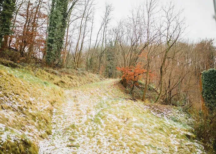 Hugos Design Am Waldrand - Ruhig & Modern Apartman